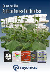 FLYER HILO ENTUTORAR.png