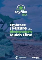 REYFILM BIO.JPG