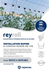 REYROLL FRE.JPG