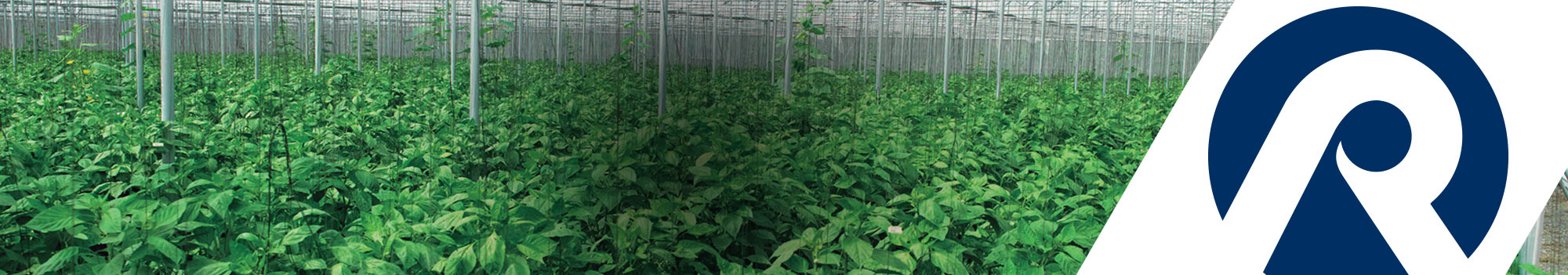 cabecera-horticola.jpg