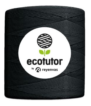 eco peque.JPG